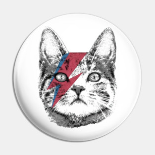 Ziggy Stardust Pin