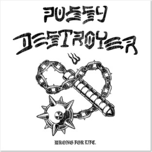 Destroyer Posters and Art