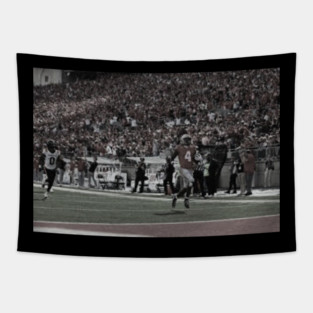 COLLEGE FOOTBALL Tapestry