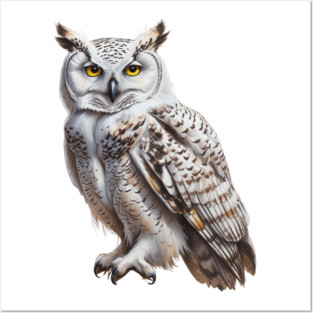 SNOWY OWL Posters and Art