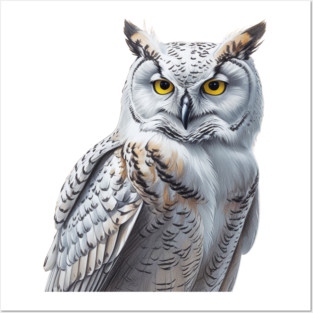 SNOWY OWL Posters and Art