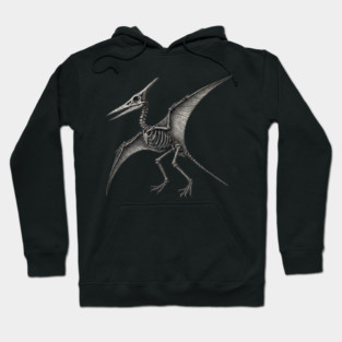 Pterodactyl Hoodie