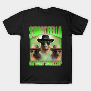 smart fella or fart smella T-Shirt