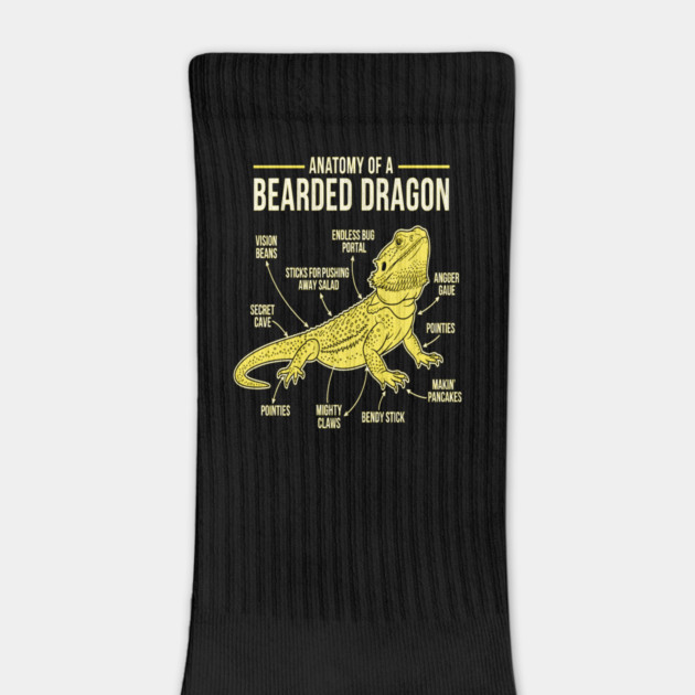 Anatomy of a Bearded Dragon by OUTFITPAW