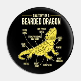 Anatomy of a Bearded Dragon Pin