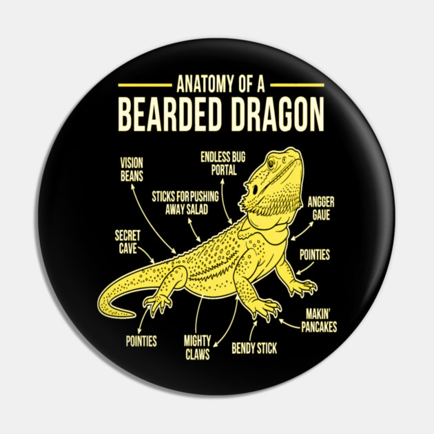 Anatomy of a Bearded Dragon Pin by OUTFITPAW