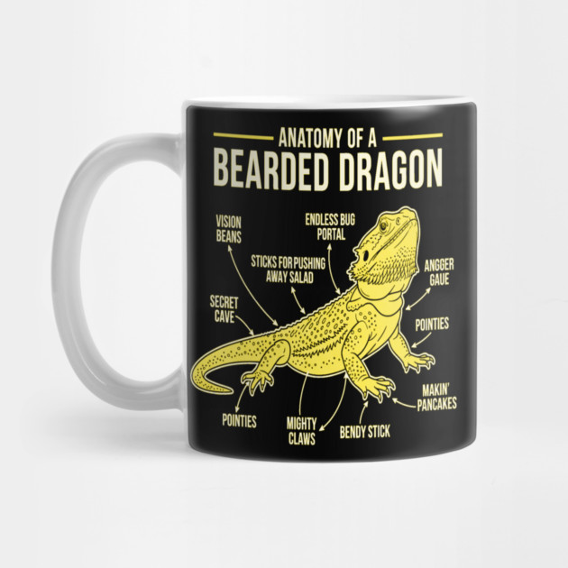 Anatomy of a Bearded Dragon by OUTFITPAW