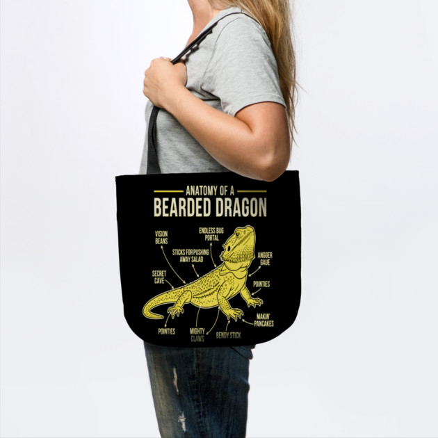 Anatomy of a Bearded Dragon by OUTFITPAW