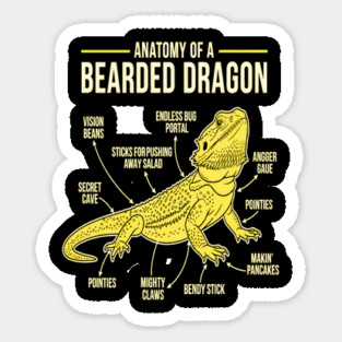 Anatomy of a Bearded Dragon Sticker