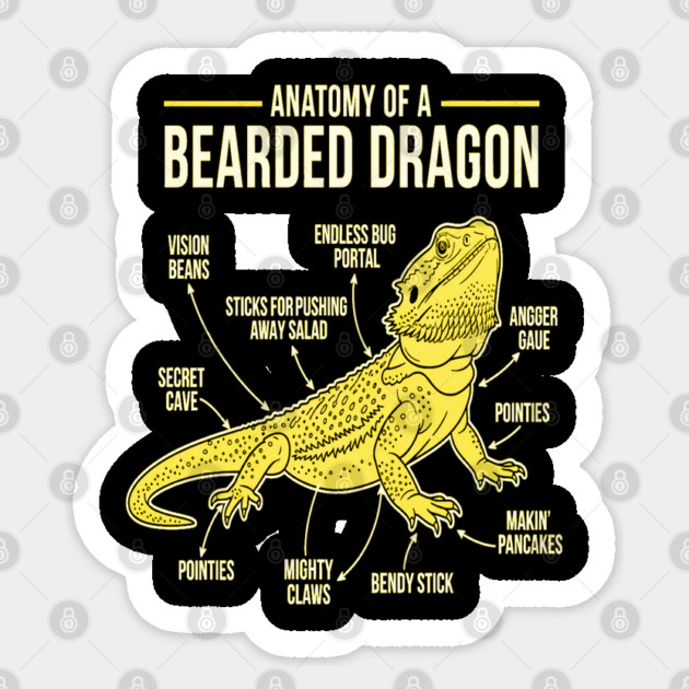 Anatomy of a Bearded Dragon Sticker by OUTFITPAW