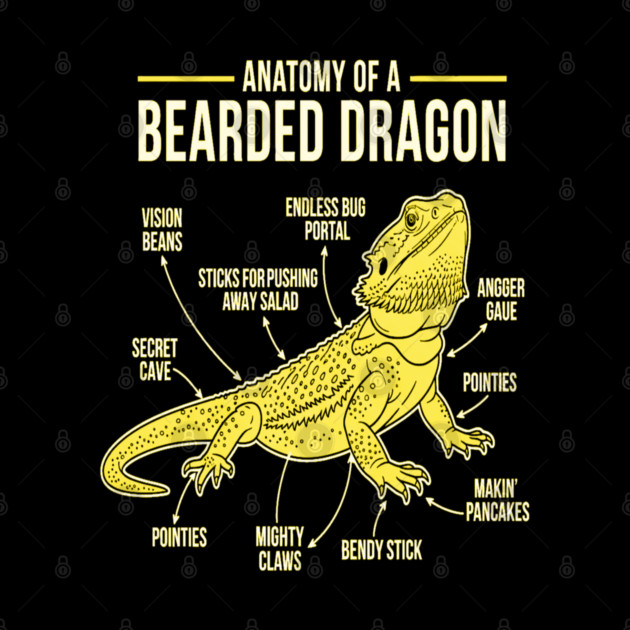 Anatomy of a Bearded Dragon by OUTFITPAW