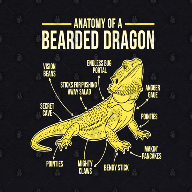 Anatomy of a Bearded Dragon by OUTFITPAW