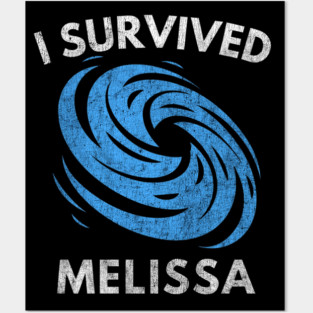 I Survived hurricane melissa 2025 Tropical Storm Posters and Art