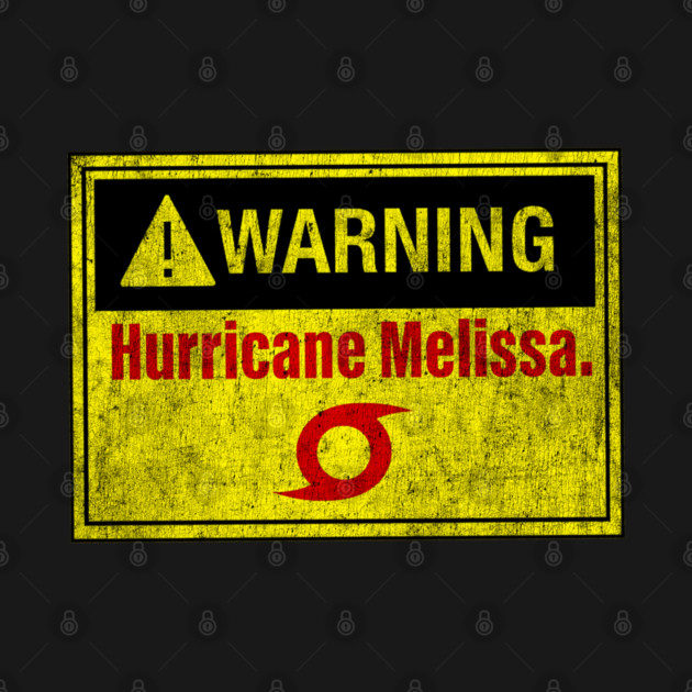 I Survived hurricane melissa 2025 Tropical Storm by artelunia