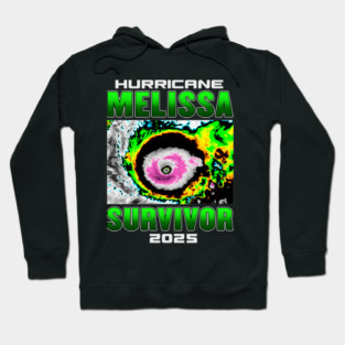 I Survived hurricane melissa 2025 Tropical Storm Hoodie