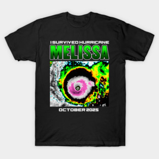 I Survived hurricane melissa 2025 Tropical Storm T-Shirt