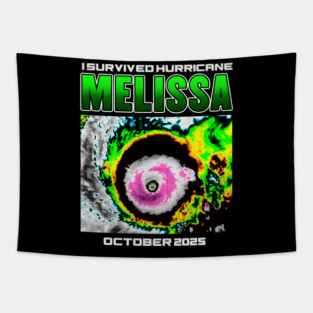I Survived hurricane melissa 2025 Tropical Storm Tapestry