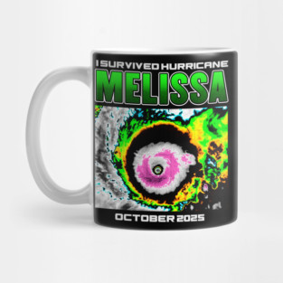 I Survived hurricane melissa 2025 Tropical Storm Mug