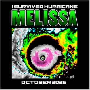 I Survived hurricane melissa 2025 Tropical Storm Posters and Art