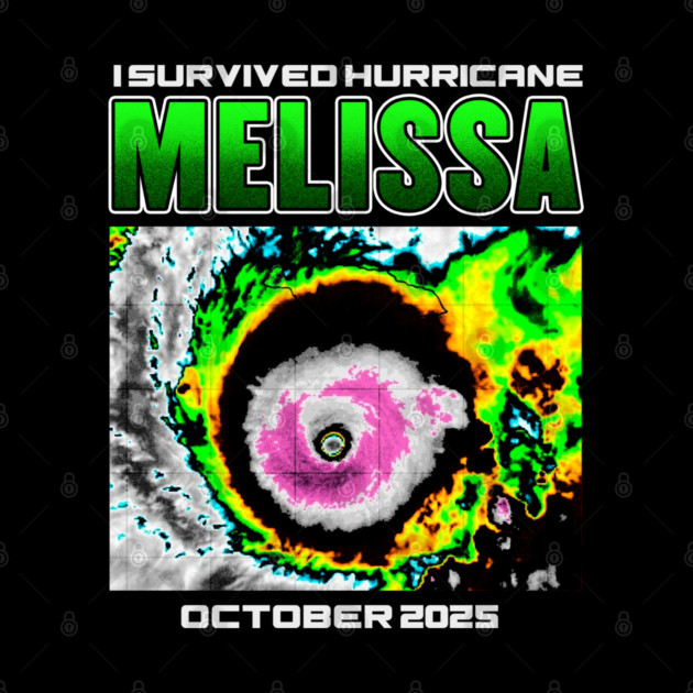 I Survived hurricane melissa 2025 Tropical Storm by artelunia