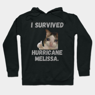 I Survived hurricane melissa 2025 Tropical Storm Hoodie