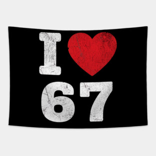 I Love 67 Funny Meme  6 7 Costume Six Seven Kids Youth Boys Gift Tapestry