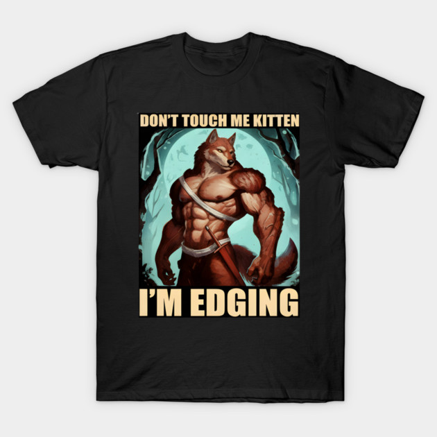 Don't Touch Me Kitten I'm Edging T-Shirt by DesignAura