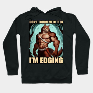 Don't Touch Me Kitten I'm Edging Hoodie