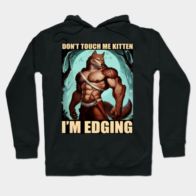 Don't Touch Me Kitten I'm Edging Hoodie by DesignAura