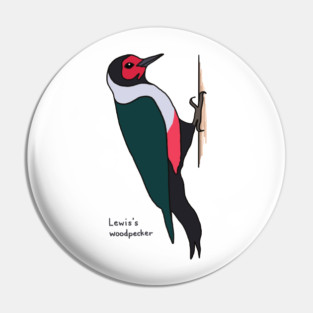Lewis's woodpecker Pin