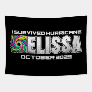 Hurricane Melissa - I Survived hurricane melissa 2025 Tapestry