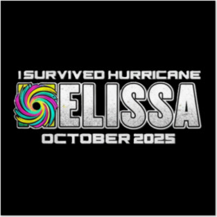 Hurricane Melissa - I Survived hurricane melissa 2025 Posters and Art