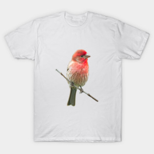 House Finch Backyard Birding T-Shirt