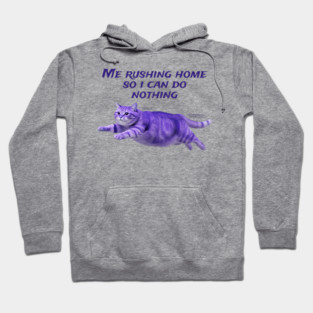 Funny Purple Cat Rushing Home To Do Nothing At All Hoodie
