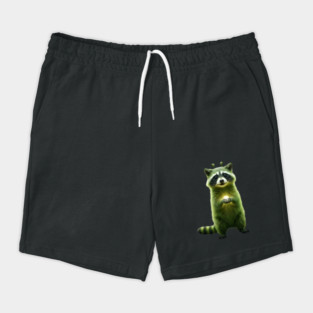 Silly Green Alien Raccoon Meme glorp GOG brainrot Shorts