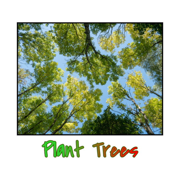Plant Trees T-Shirt, Environmental Tee, Forest Canopy Shirt, Nature Lover Gift, Save the Trees Clothing, Deforestation Awareness Tee, Trees by Art2Wear