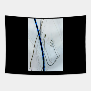 Lightplay Crossing Inversion Tapestry