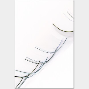 Lightplay Crossing Inversion Posters and Art