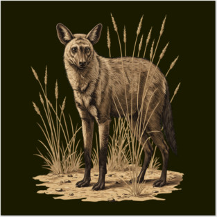 Aardwolf in Desert Grass Vintage Artwork Posters and Art