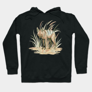 Aardwolf in Soft Desert Grass Artwork Hoodie