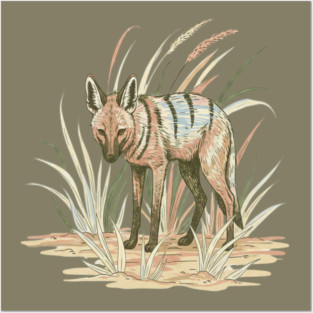 Aardwolf in Soft Desert Grass Artwork Posters and Art