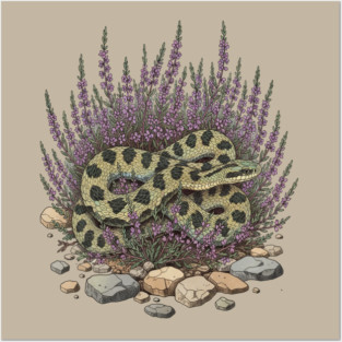 Adder in Heather Vintage Snake Artwork Posters and Art