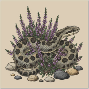 Adder Among Heather and Rocks Artwork Posters and Art
