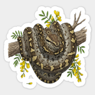 Majestic African Rock Python and Savanna Flowers Magnet