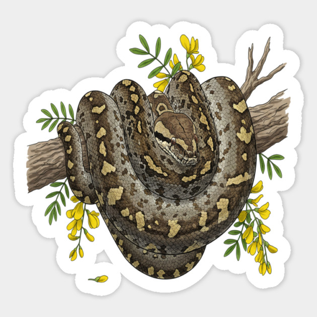 Majestic African Rock Python and Savanna Flowers Magnet by BirdsnStuff