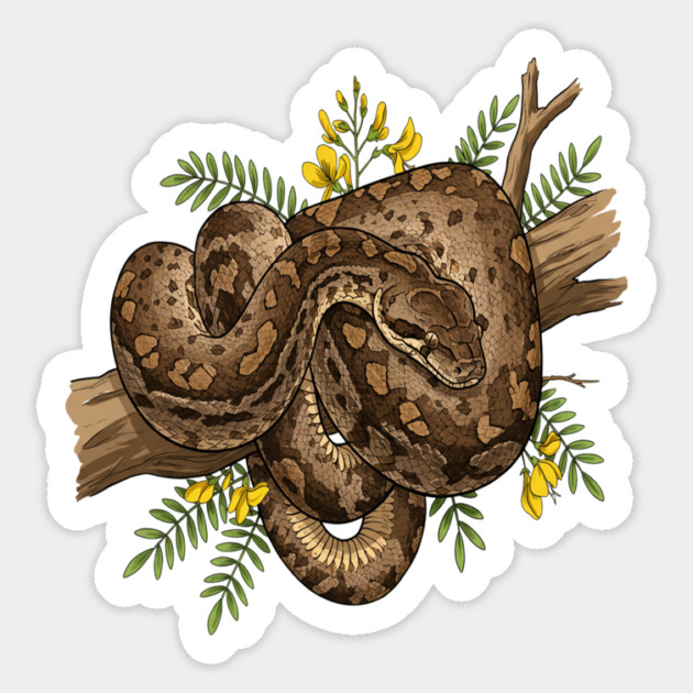 African Rock Python with Blossoms Magnet by BirdsnStuff