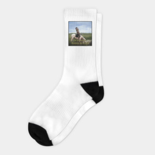 In A Sacred Manner We Lived Edward S. Curtis Socks