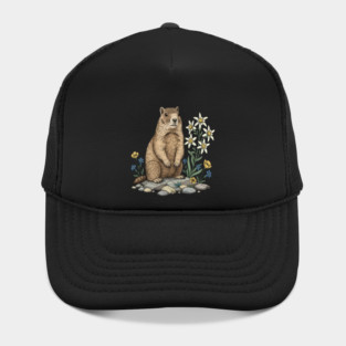 Alpine Marmot with Edelweiss Flowers Hat