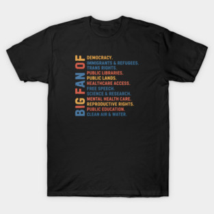 Big Fan Democracy, Equality & Justice T-Shirt