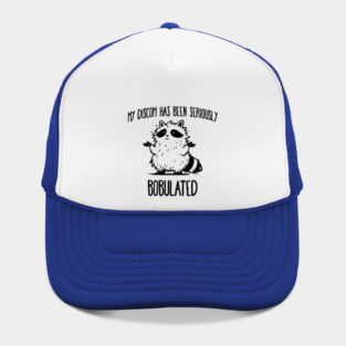 Funny My Discom Has Been Seriously Bobulated Raccoon Wordplay Hat